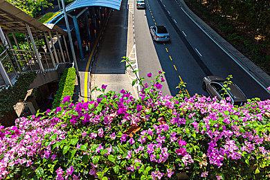 Xbox高管：包容性是核心宗旨，希望达成30亿玩家